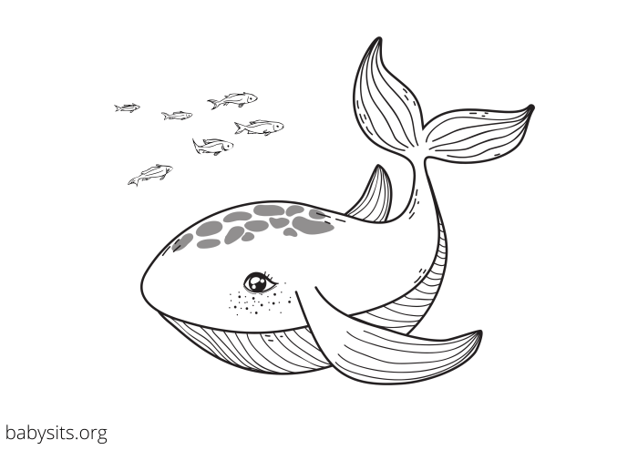 Complex coloring pages free printable sea animal