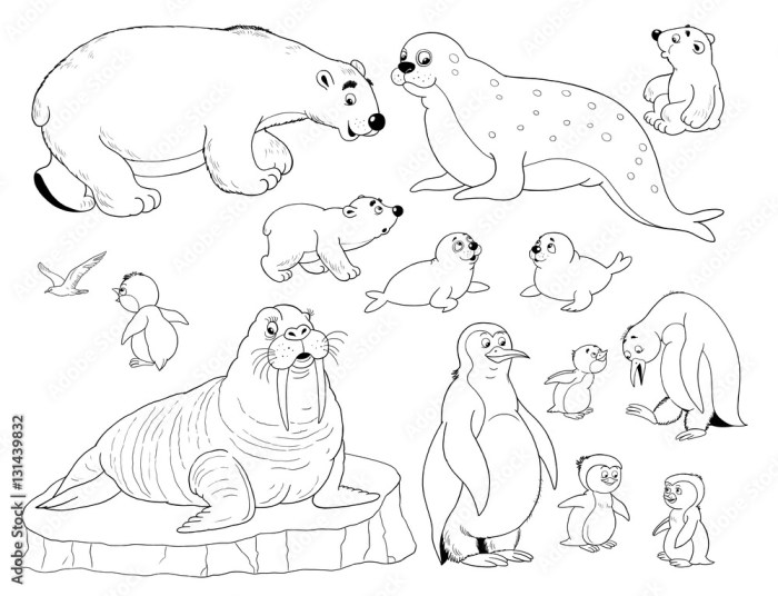 Arctic animal coloring pages printable