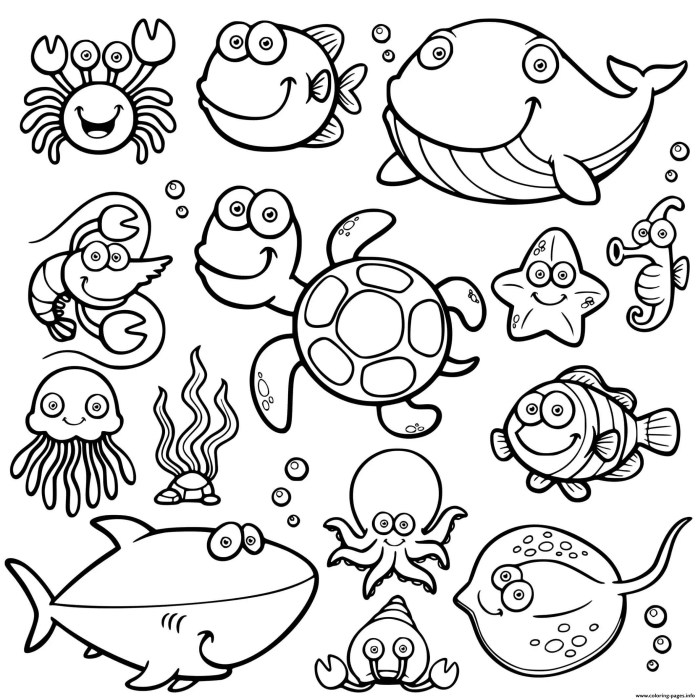 Animals of the sea coloring pages