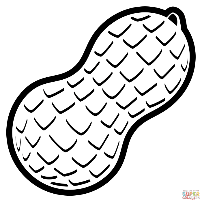 Animated peanut coloring page