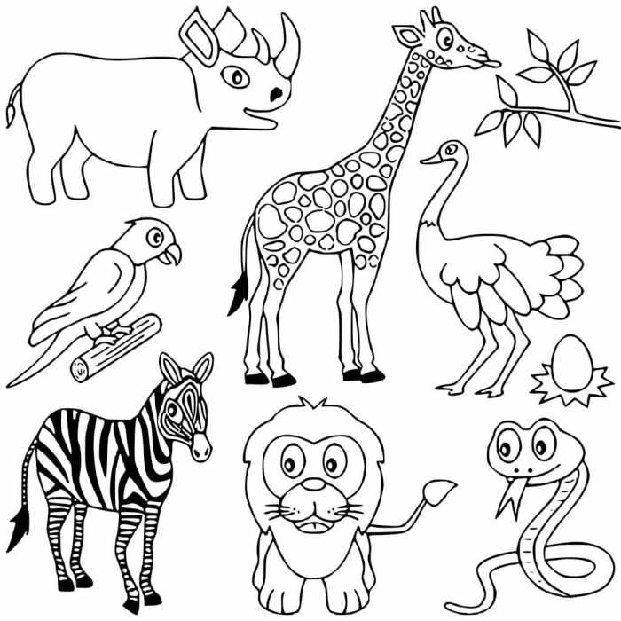 Animals of africa coloring pages