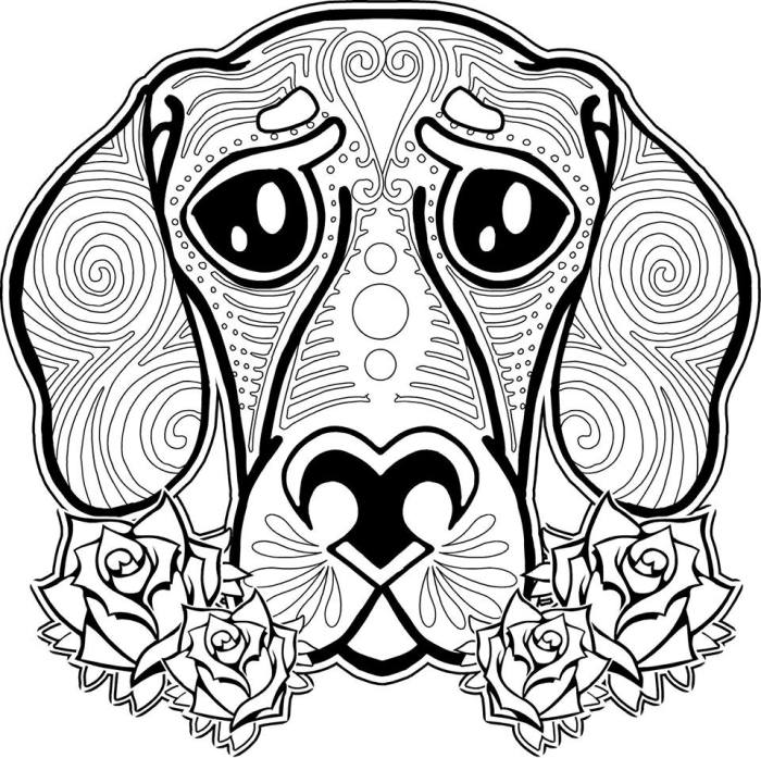 Animal coloring book free download