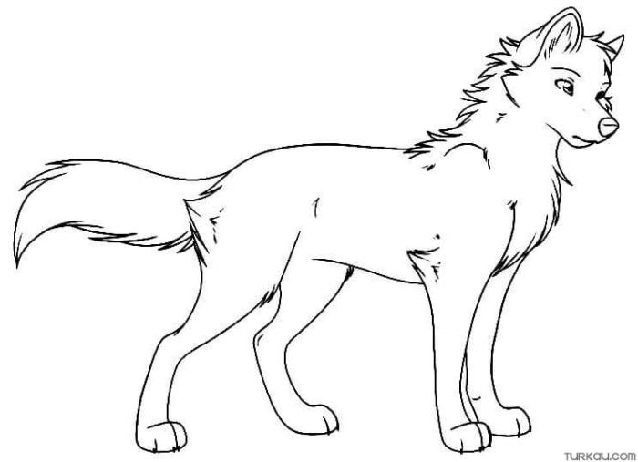 Cute anime wolf pack coloring page