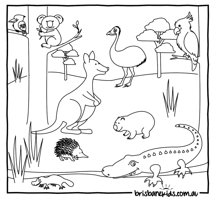 Australian animal coloring pages