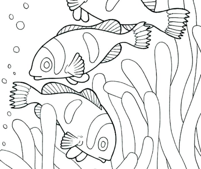 Animal habitats models for kids coloring sheets