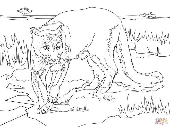 Animal tracks coloring pages page