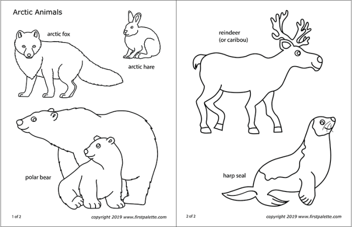 Coloring pages animals in winter