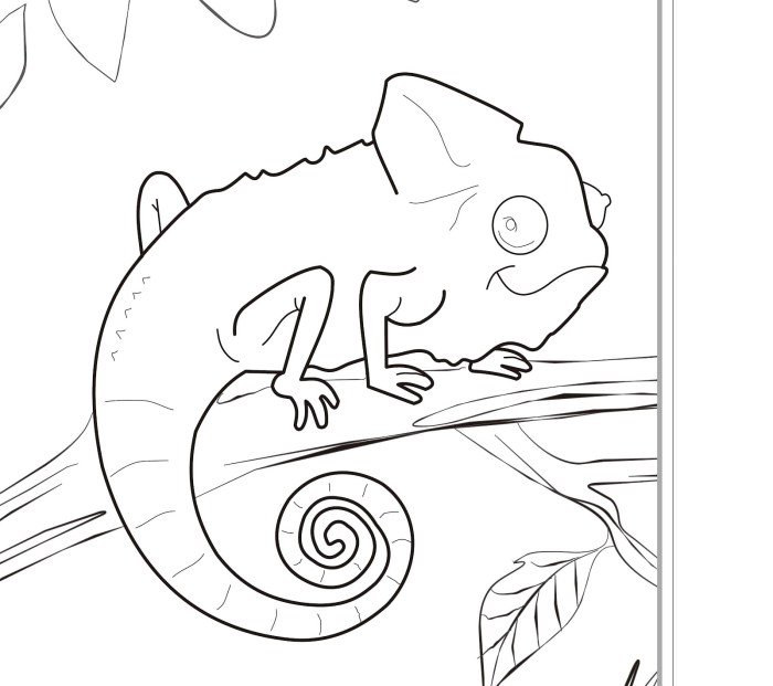 Animals of brazil coloring page