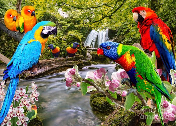 Animals with bright coloring