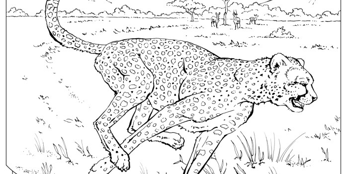 Wild animals coloring pages pdf