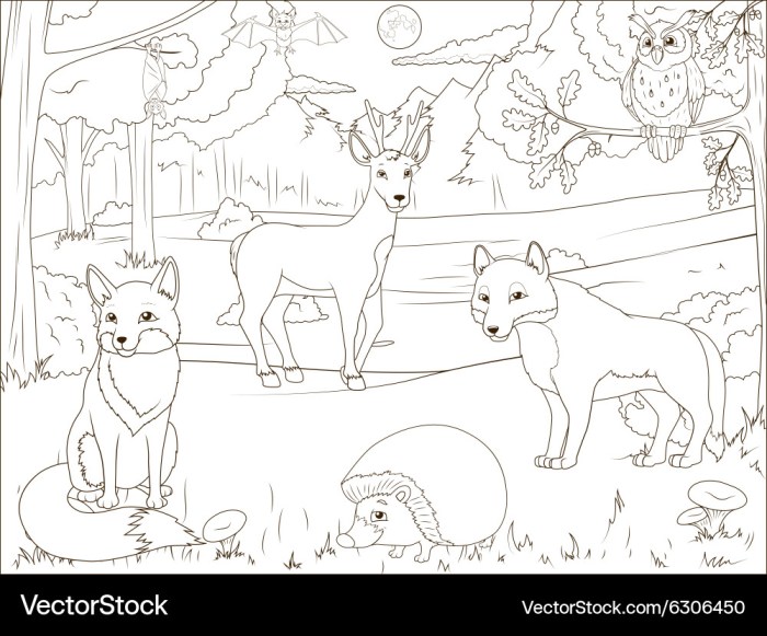 Dover coloring book forest animals