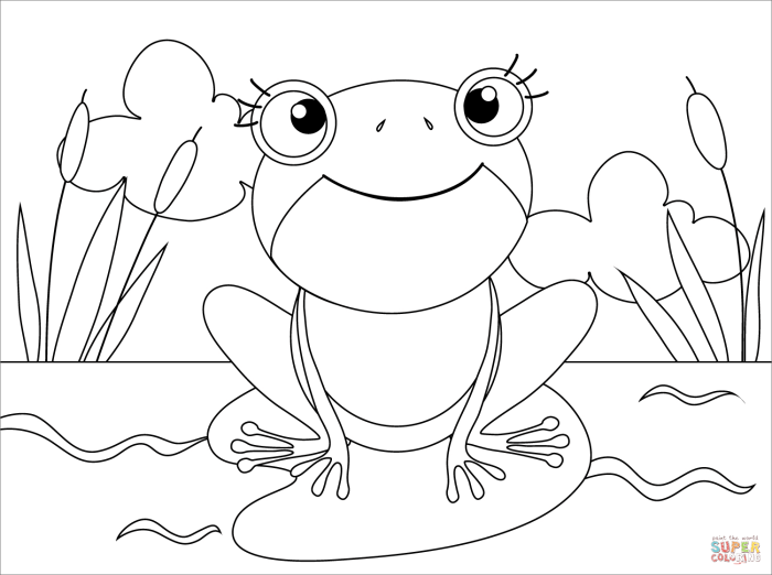 Animal coloring pages for teenagers frog