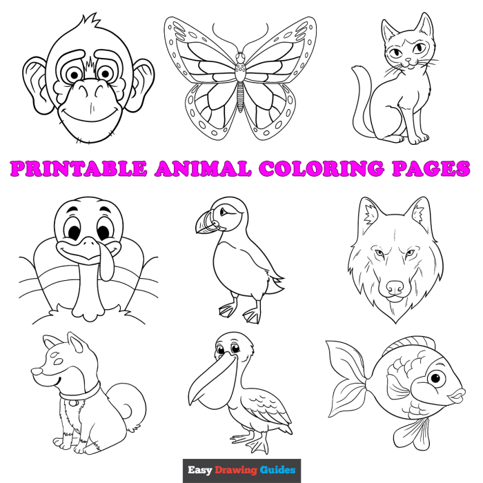 Animal coloring pages for toddlers free