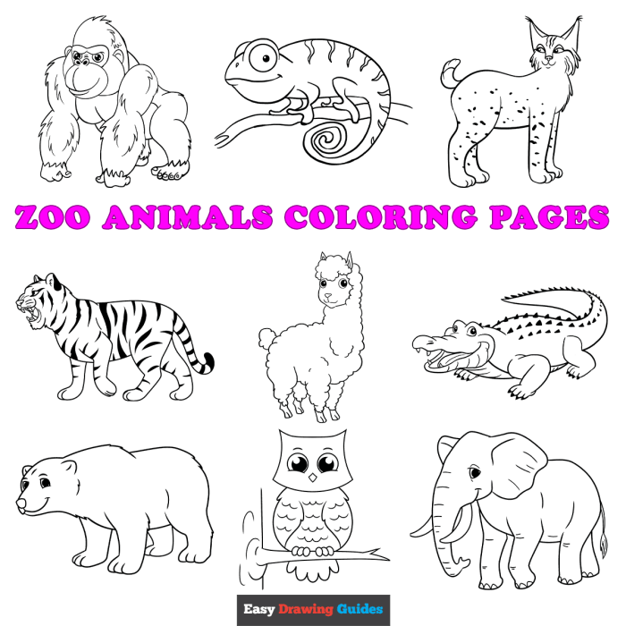 Animal sketches for coloring