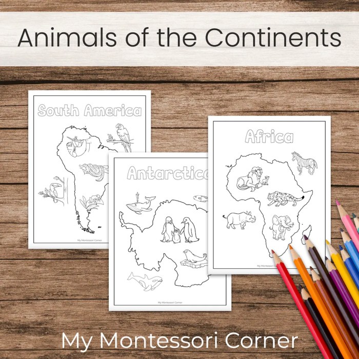 Animals by continent coloring pages