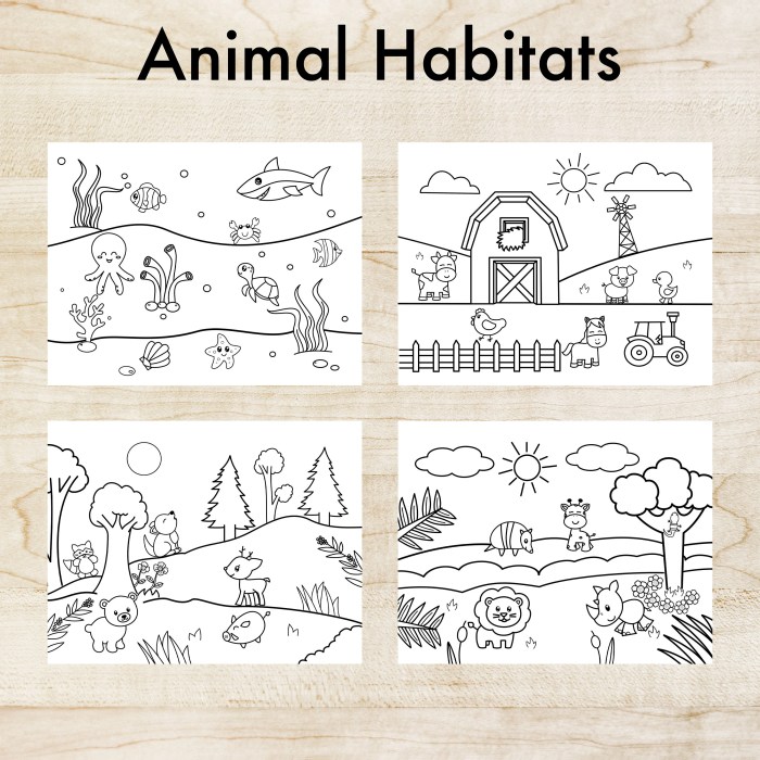 Animal habitats models for kids coloring sheets