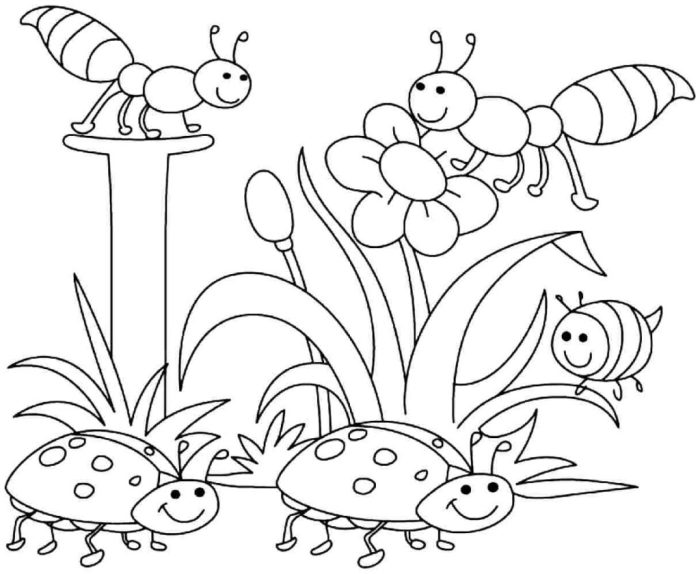 Coloring pages spring animals