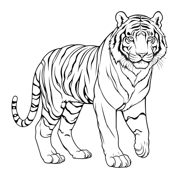 Animal coloring page tiger