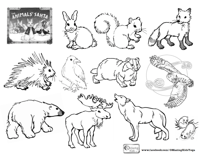 China forest animal coloring pages printable